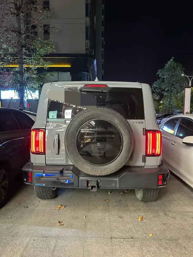 2024 Tank 300 2.0T 252HP L4 9AT,autocango,china used car exporter,china ev exporter,chinese used car exporter,chinese used ev exporter