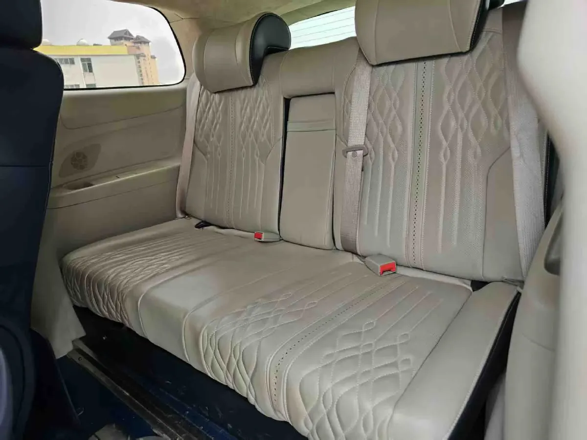 2020 Buick GL8 2.0T 237HP L4 9AT,autocango,china used car exporter,china ev exporter,chinese used car exporter,chinese used ev exporter