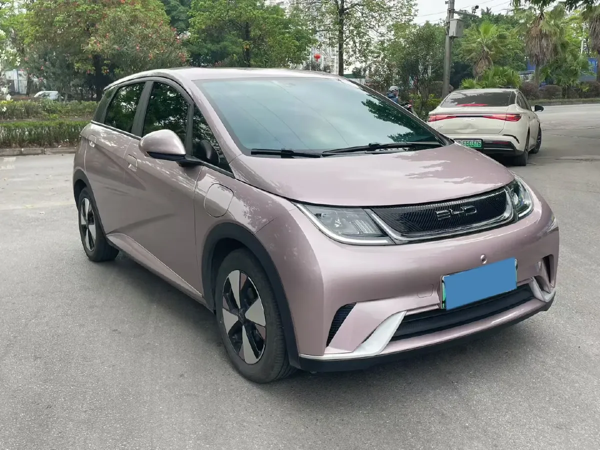 2023 BYD Dolphin BEV 44.928KWH,autocango,china used car exporter,china ev exporter,chinese used car exporter,chinese used ev exporter