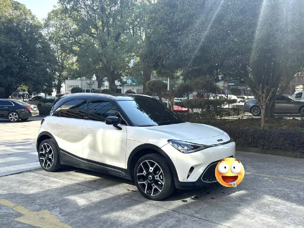 2022 Smart smart Elf 1 BEV 66KWH,autocango,china used car exporter,china ev exporter,chinese used car exporter,chinese used ev exporter