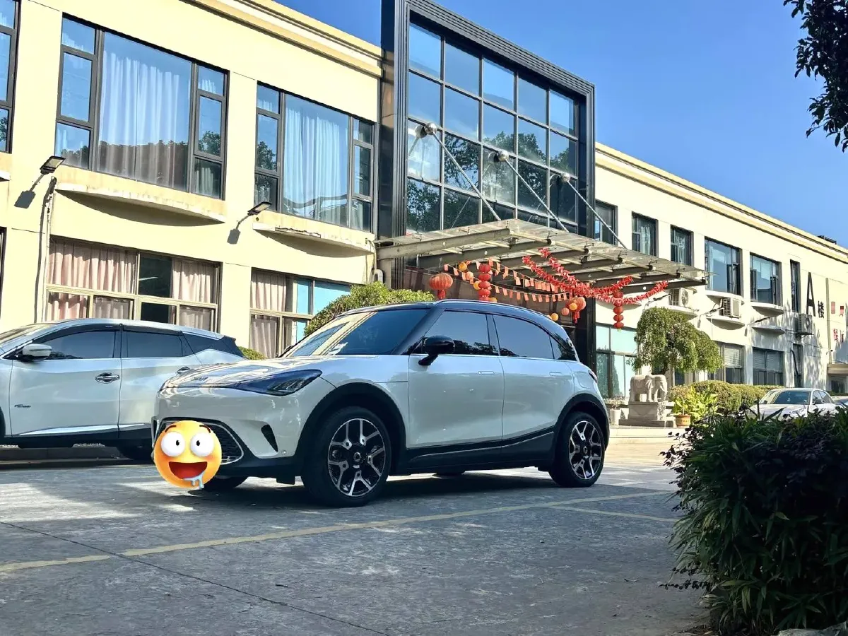 2022 Smart smart Elf 1 BEV 66KWH,autocango,china used car exporter,china ev exporter,chinese used car exporter,chinese used ev exporter