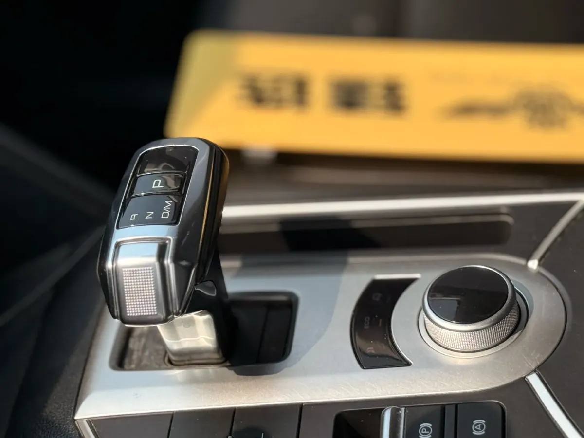 2020 Great Wall Poer 2.0T 163HP L4 8AT,autocango,china used car exporter,china ev exporter,chinese used car exporter,chinese used ev exporter