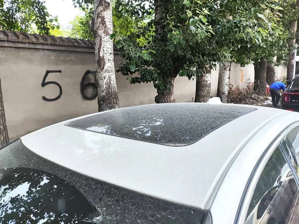 2023 Volvo S60 2.0T 197HP L4 7DCT,autocango,china used car exporter,china ev exporter,chinese used car exporter,chinese used ev exporter