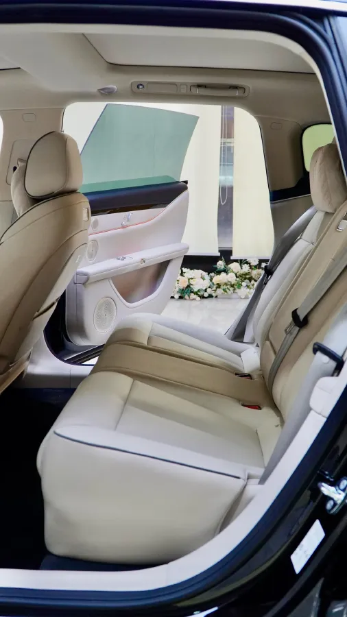 2025 HIMA Stelato S9T REEV 160HP REEV,autocango,china used car exporter,china ev exporter,chinese used car exporter,chinese used ev exporter