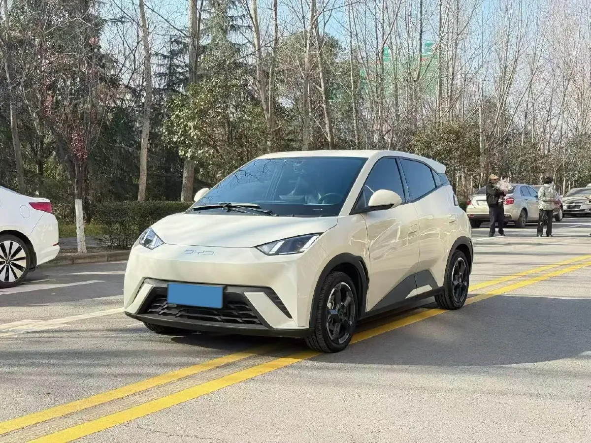 2024 BYD Seagull BEV 30.08KWH,autocango,china used car exporter,china ev exporter,chinese used car exporter,chinese used ev exporter