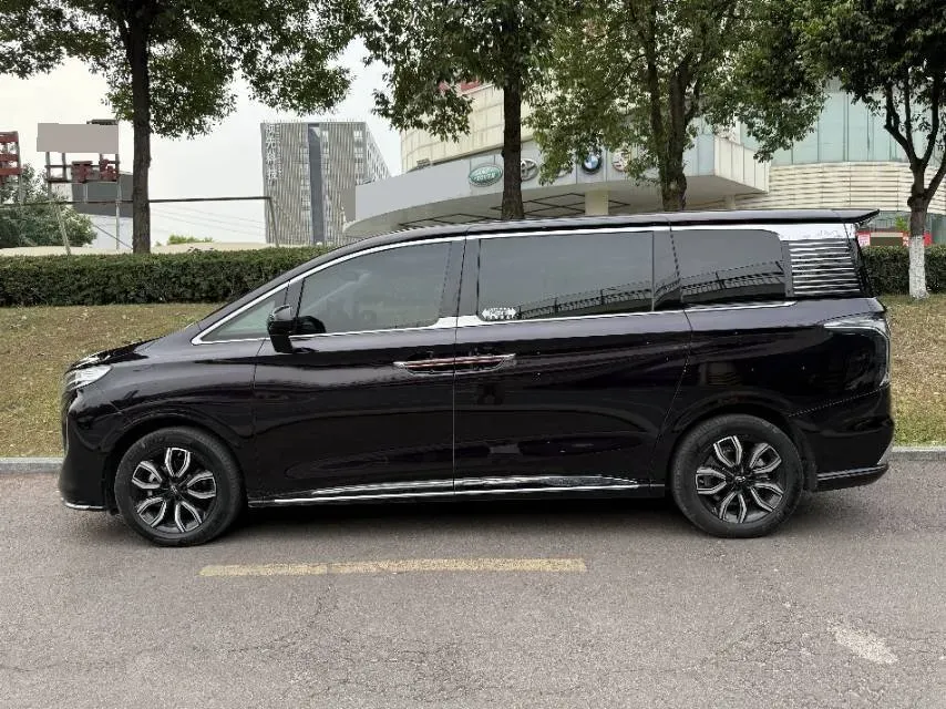 2024 HongQi HQ9 2.0T 163HP L4 1DHT PHEV 20.14KWH,autocango,china used car exporter,china ev exporter,chinese used car exporter,chinese used ev exporter