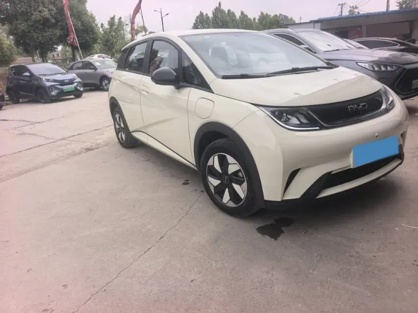 2025 BYD Dolphin BEV 44.928KWH,autocango,china used car exporter,china ev exporter,chinese used car exporter,chinese used ev exporter