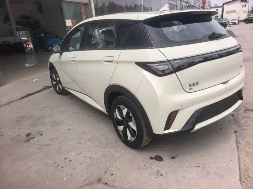 2025 BYD Dolphin BEV 44.928KWH,autocango,china used car exporter,china ev exporter,chinese used car exporter,chinese used ev exporter