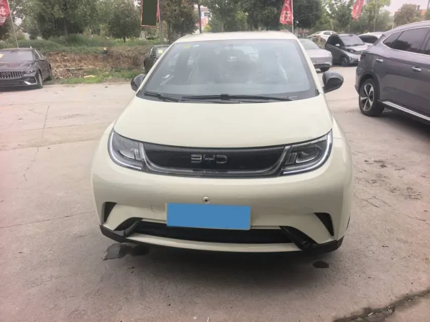 2025 BYD Dolphin BEV 44.928KWH,autocango,china used car exporter,china ev exporter,chinese used car exporter,chinese used ev exporter