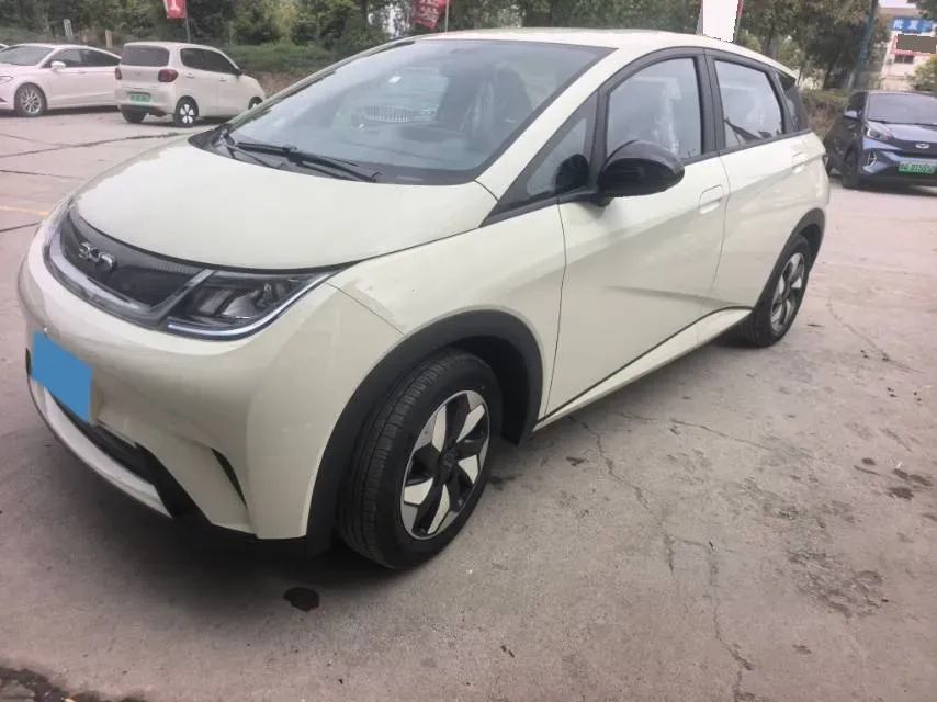 2025 BYD Dolphin BEV 44.928KWH,autocango,china used car exporter,china ev exporter,chinese used car exporter,chinese used ev exporter