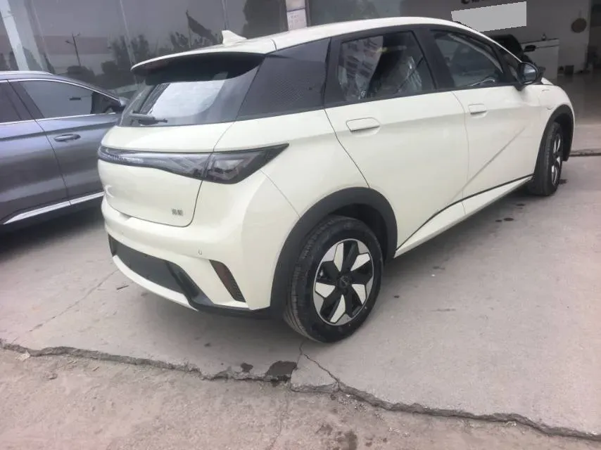 2025 BYD Dolphin BEV 44.928KWH,autocango,china used car exporter,china ev exporter,chinese used car exporter,chinese used ev exporter