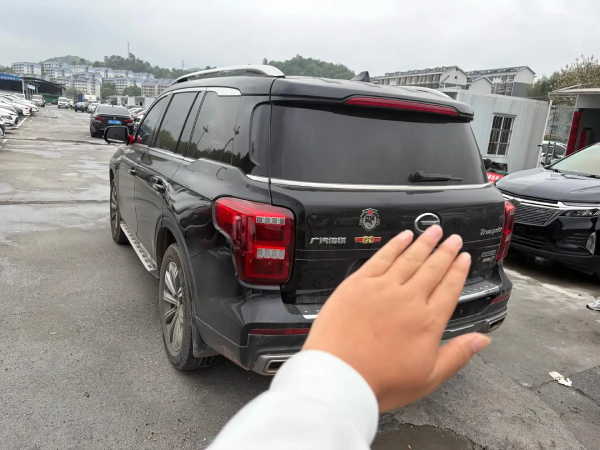 2019 GAC Trumpchi GS8 2.0T 252HP L4 6AT,autocango,china used car exporter,china ev exporter,chinese used car exporter,chinese used ev exporter