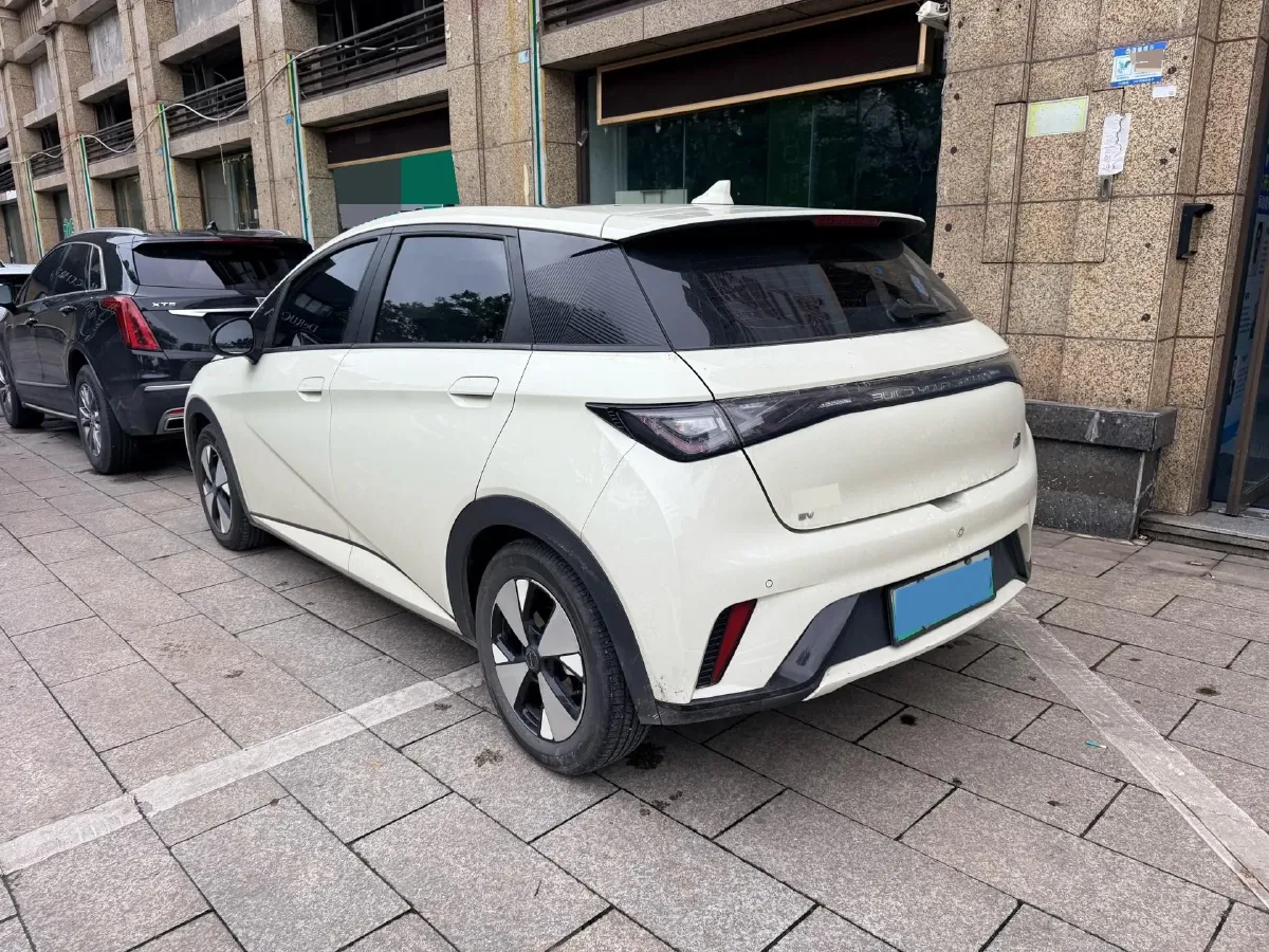 2023 BYD Dolphin BEV 44.928KWH,autocango,china used car exporter,china ev exporter,chinese used car exporter,chinese used ev exporter