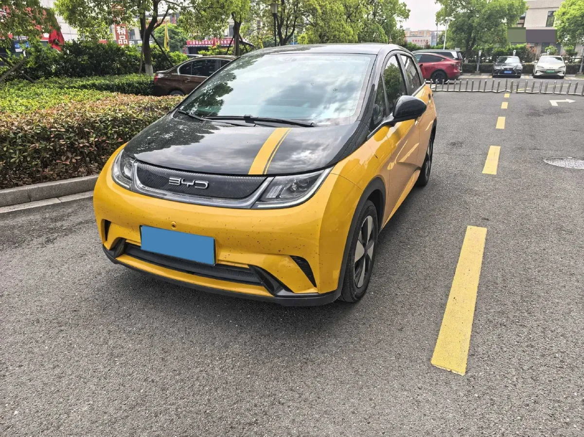 2023 BYD Dolphin BEV 44.928KWH,autocango,china used car exporter,china ev exporter,chinese used car exporter,chinese used ev exporter
