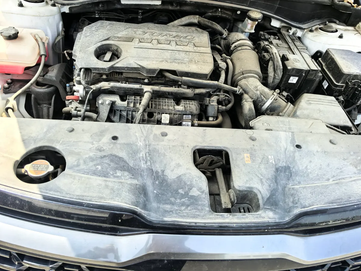 2023 Kia Sportage 2.0T 236HP L4 8AT,autocango,china used car exporter,china ev exporter,chinese used car exporter,chinese used ev exporter