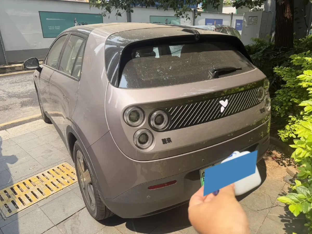 2025 Firefly Firefly BEV,autocango,china used car exporter,china ev exporter,chinese used car exporter,chinese used ev exporter