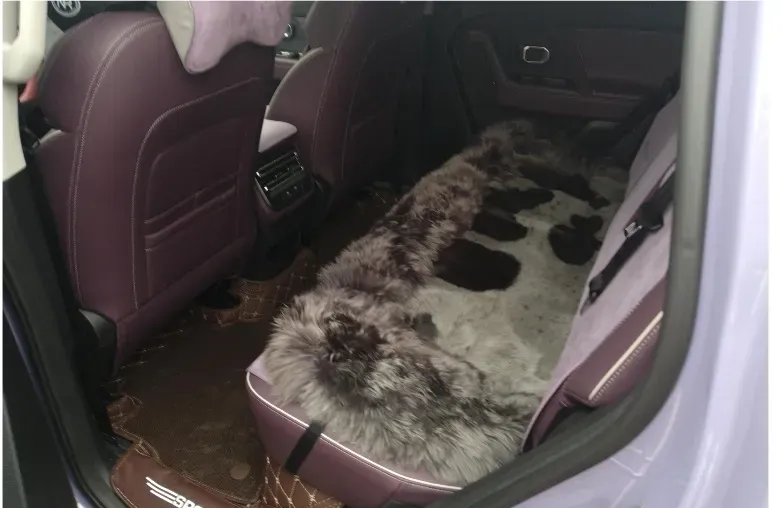 2025 Jetour Freeman 1.5T 184HP L4 7DCT,autocango,china used car exporter,china ev exporter,chinese used car exporter,chinese used ev exporter