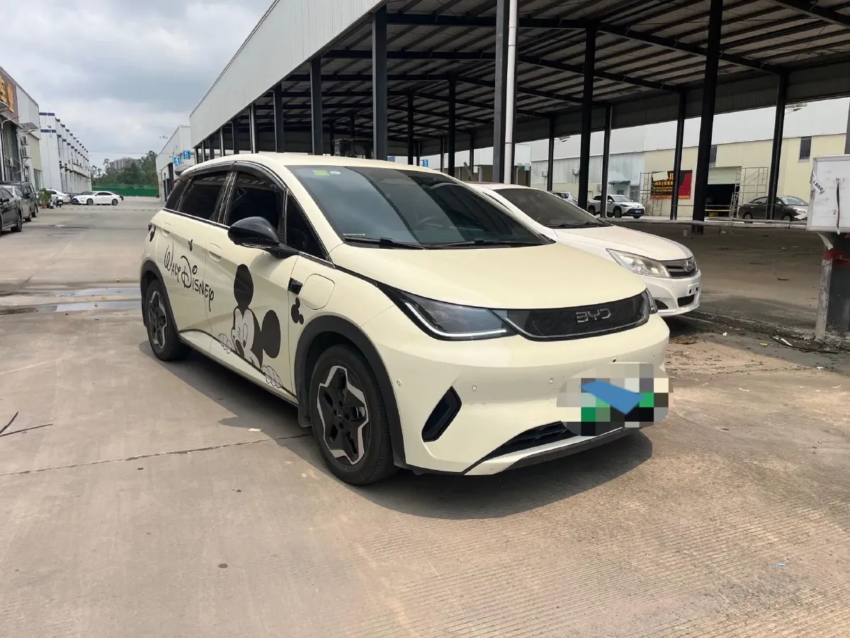 2025 BYD Dolphin BEV 45.12KWH,autocango,china used car exporter,china ev exporter,chinese used car exporter,chinese used ev exporter