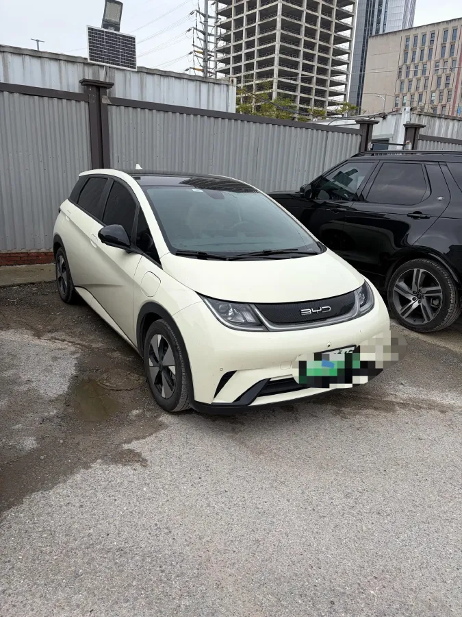 2023 BYD Dolphin BEV 44.928KWH,autocango,china used car exporter,china ev exporter,chinese used car exporter,chinese used ev exporter
