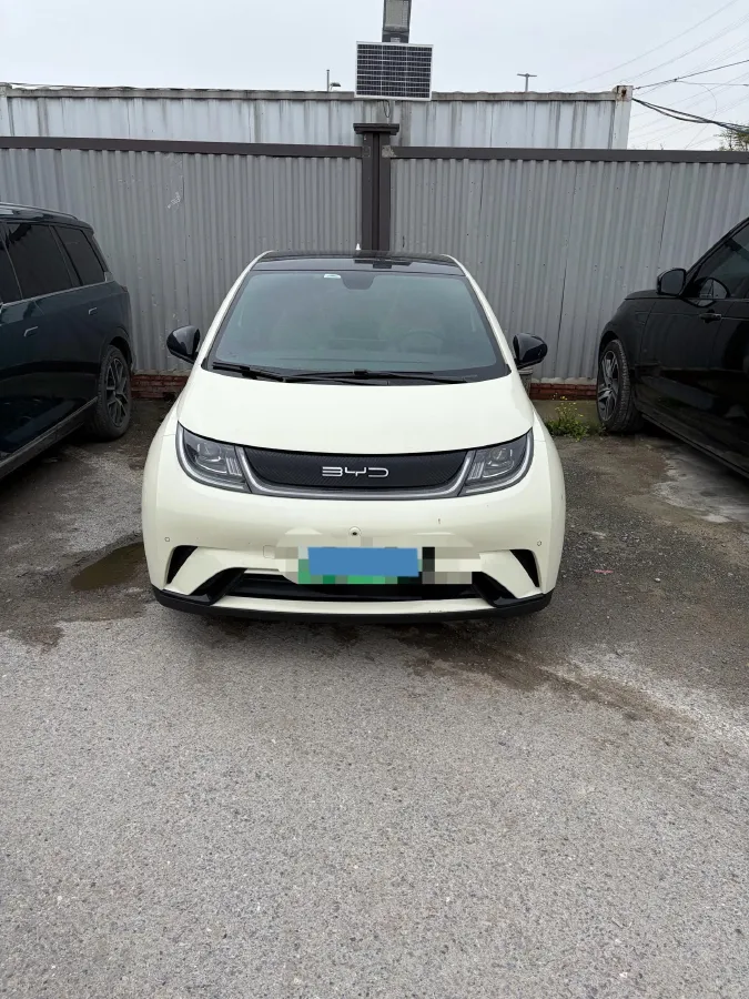 2023 BYD Dolphin BEV 44.928KWH,autocango,china used car exporter,china ev exporter,chinese used car exporter,chinese used ev exporter