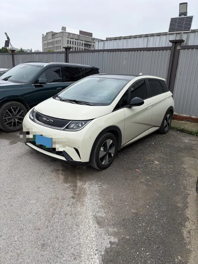 2023 BYD Dolphin BEV 44.928KWH,autocango,china used car exporter,china ev exporter,chinese used car exporter,chinese used ev exporter