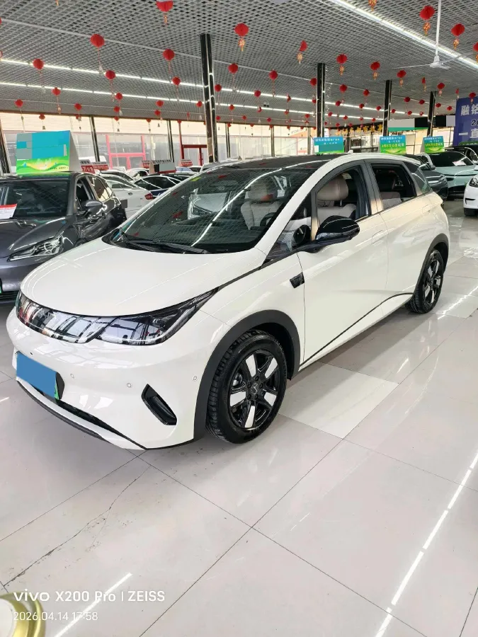 2025 BYD Dolphin BEV 45.12KWH,autocango,china used car exporter,china ev exporter,chinese used car exporter,chinese used ev exporter