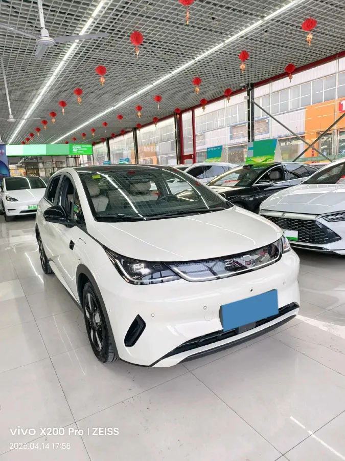 2025 BYD Dolphin BEV 45.12KWH,autocango,china used car exporter,china ev exporter,chinese used car exporter,chinese used ev exporter