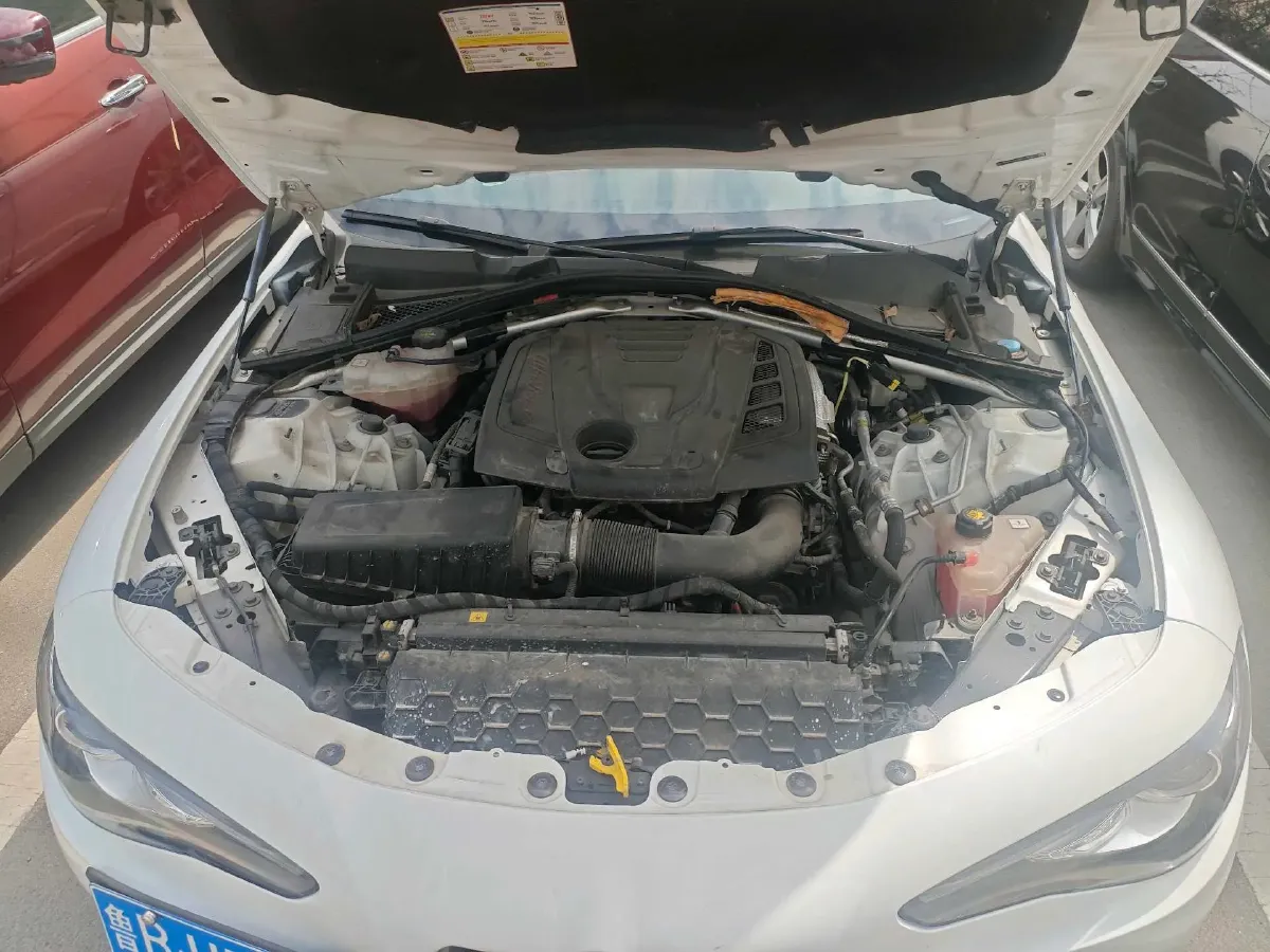 2017 Ford Mustang 2.3T 314HP L4 6AT,autocango,china used car exporter,china ev exporter,chinese used car exporter,chinese used ev exporter