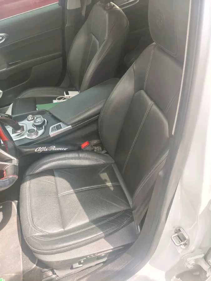 2017 Ford Mustang 2.3T 314HP L4 6AT,autocango,china used car exporter,china ev exporter,chinese used car exporter,chinese used ev exporter