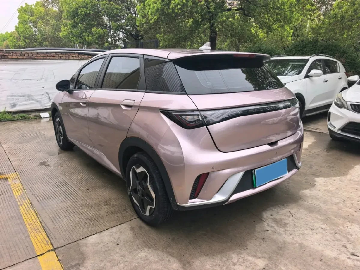 2021 BYD Yuan Pro BEV 50.1KWH,autocango,china used car exporter,china ev exporter,chinese used car exporter,chinese used ev exporter