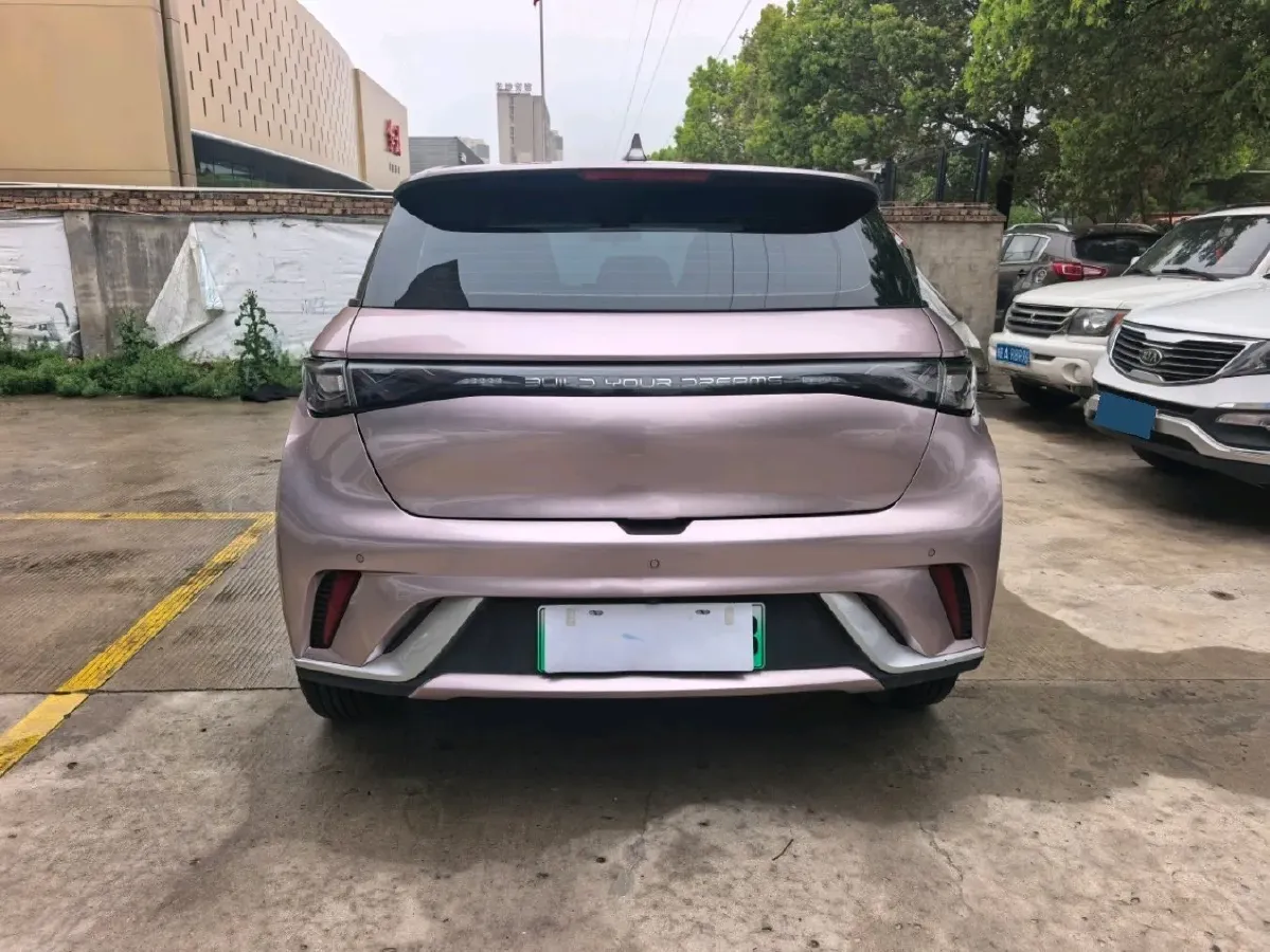 2021 BYD Yuan Pro BEV 50.1KWH,autocango,china used car exporter,china ev exporter,chinese used car exporter,chinese used ev exporter
