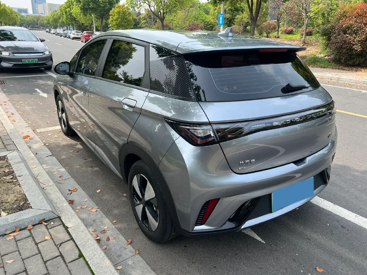 2023 BYD Dolphin BEV 44.928KWH,autocango,china used car exporter,china ev exporter,chinese used car exporter,chinese used ev exporter