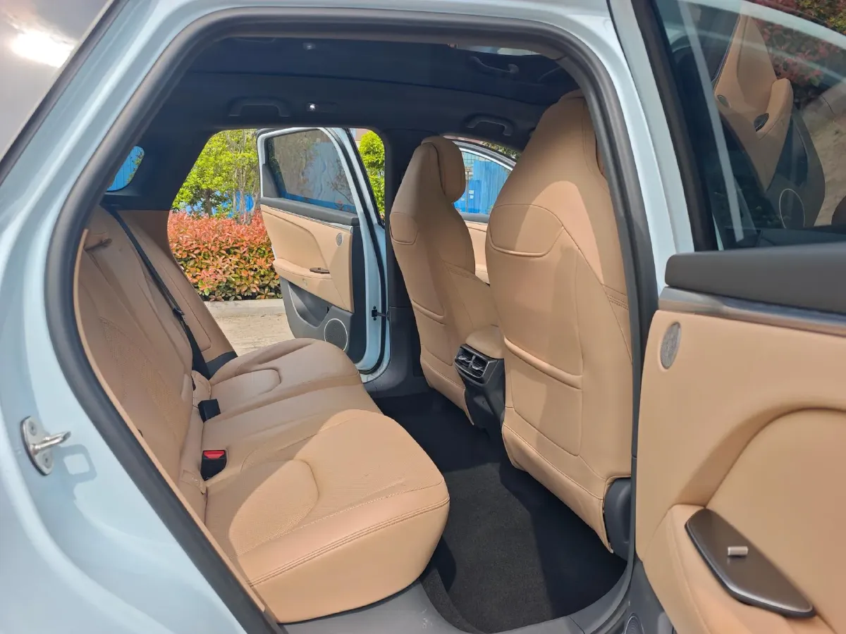 2024 MAXUS DaJia 5 BEV 61.1KWH,autocango,china used car exporter,china ev exporter,chinese used car exporter,chinese used ev exporter