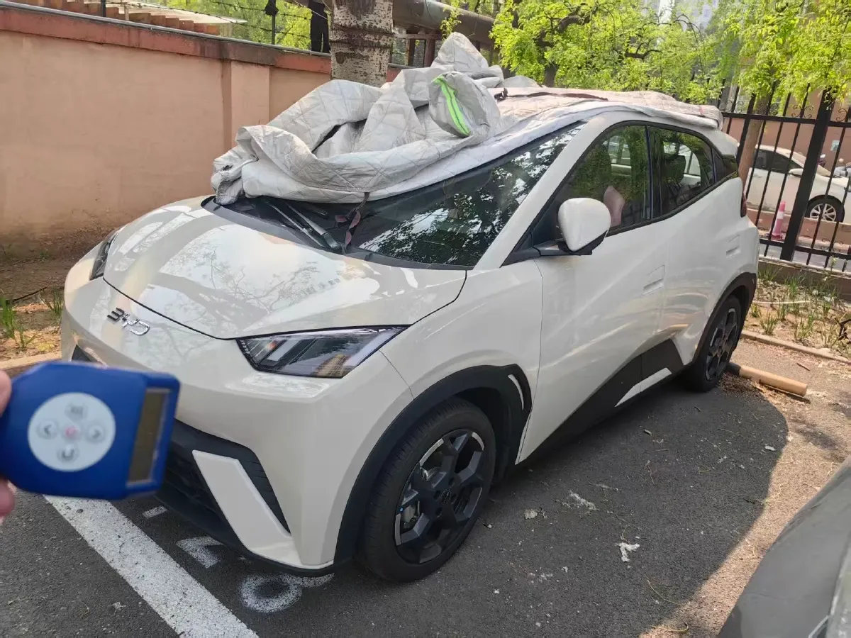 2025 BYD Seagull BEV 30.08KWH,autocango,china used car exporter,china ev exporter,chinese used car exporter,chinese used ev exporter