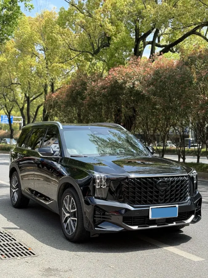 2025 GAC Trumpchi GS8 2.0T 252HP L4 8AT,autocango,china used car exporter,china ev exporter,chinese used car exporter,chinese used ev exporter