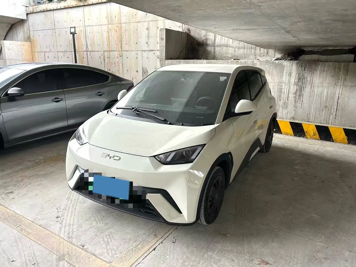 2023 BYD Seagull BEV 30.08KWH