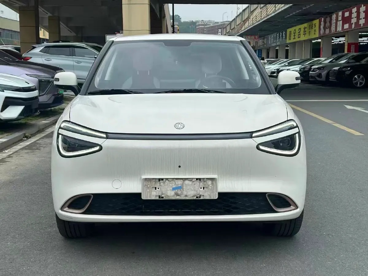 2024 DongFeng eπ 01 BEV 31.45KWH,autocango,china used car exporter,china ev exporter,chinese used car exporter,chinese used ev exporter
