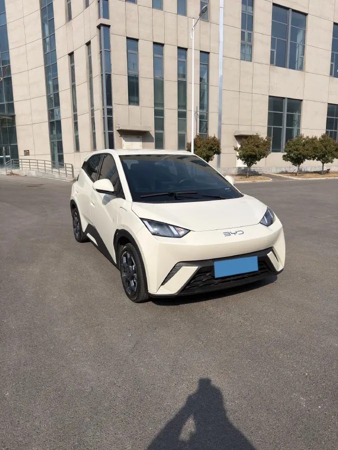 2024 BYD Seagull BEV 30.08KWH,autocango,china used car exporter,china ev exporter,chinese used car exporter,chinese used ev exporter