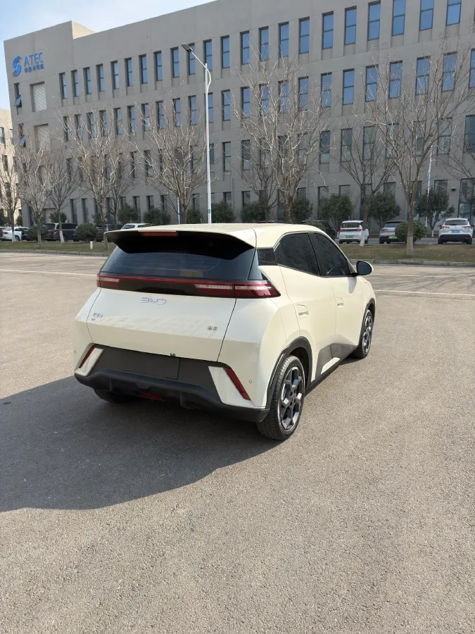 2024 BYD Seagull BEV 30.08KWH,autocango,china used car exporter,china ev exporter,chinese used car exporter,chinese used ev exporter