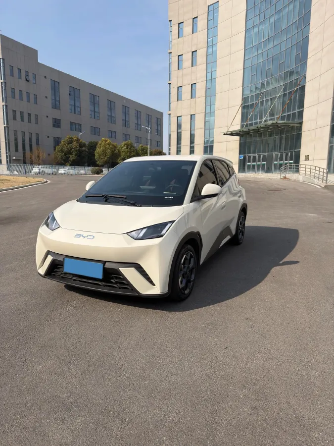 2024 BYD Seagull BEV 30.08KWH,autocango,china used car exporter,china ev exporter,chinese used car exporter,chinese used ev exporter