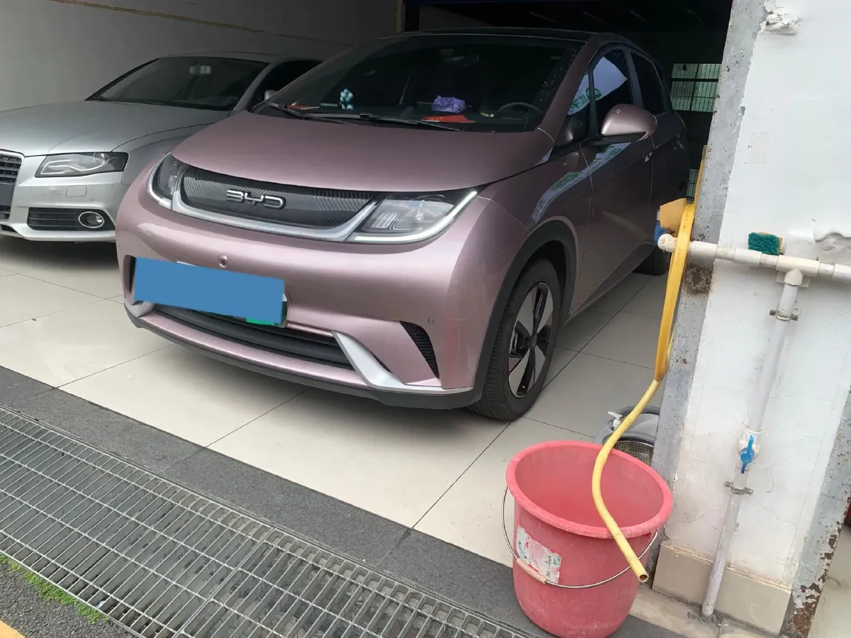 2023 BYD Dolphin BEV 44.928KWH,autocango,china used car exporter,china ev exporter,chinese used car exporter,chinese used ev exporter