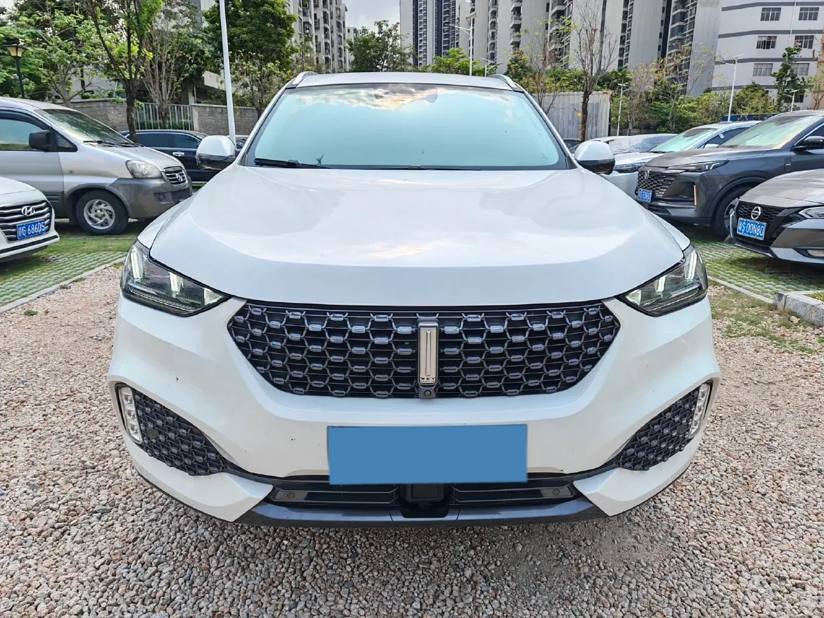 2020 WEY VV6 2.0T 227HP L4 7DCT,autocango,china used car exporter,china ev exporter,chinese used car exporter,chinese used ev exporter