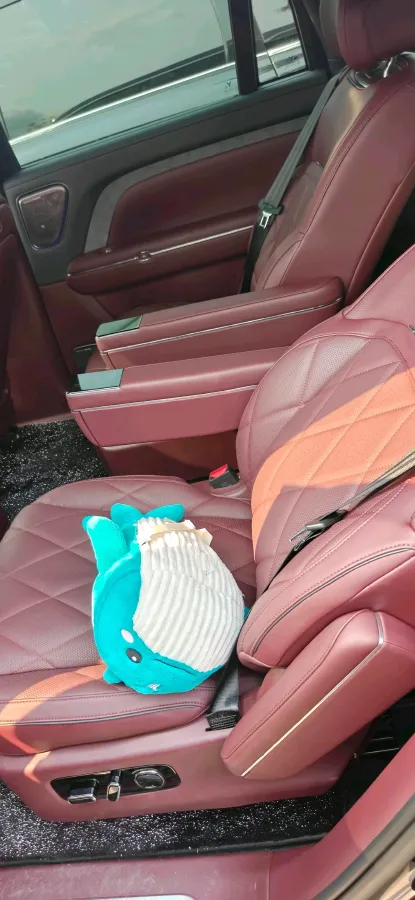 2026 Voyah 9L 1.5T 150HP L4 PHEV,autocango,china used car exporter,china ev exporter,chinese used car exporter,chinese used ev exporter