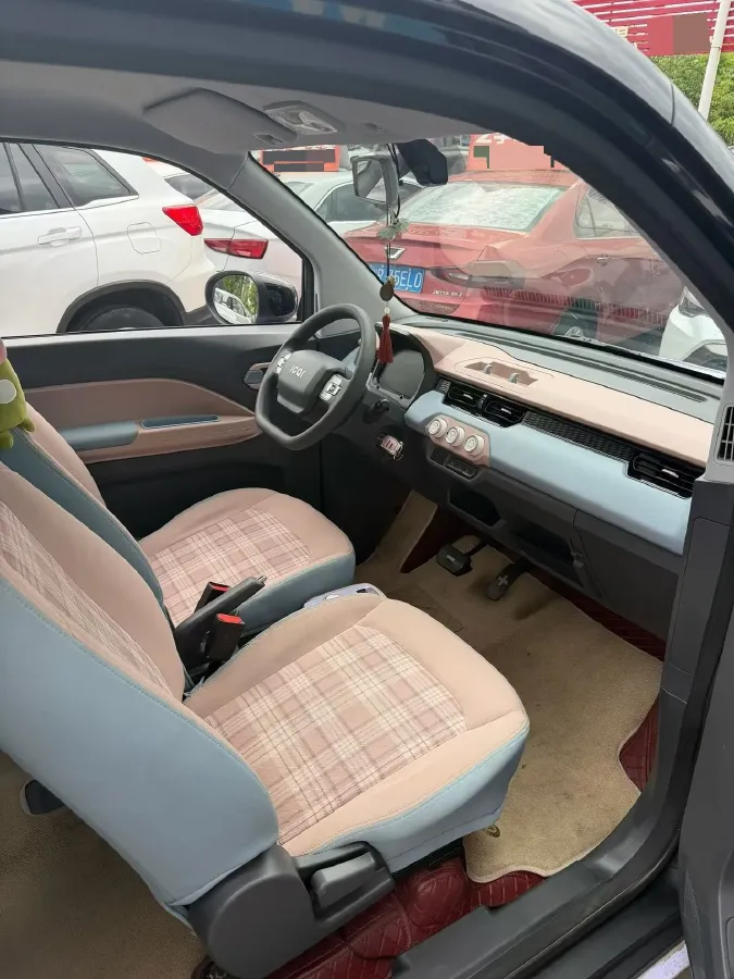 2024 ZD Rainbow BEV 17.18KWH,autocango,china used car exporter,china ev exporter,chinese used car exporter,chinese used ev exporter