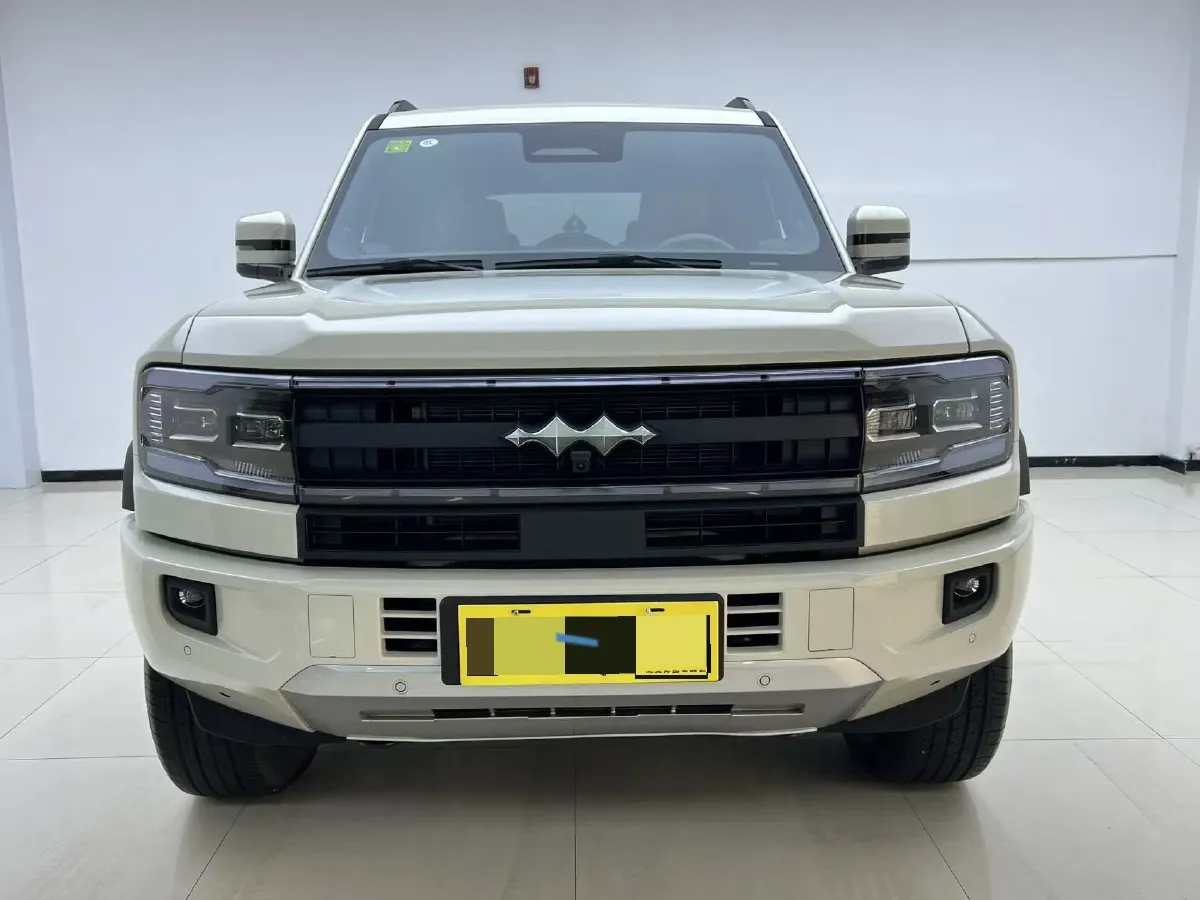 2025 FangChengBao Bao 5 1.5T 194HP L4 E-CVT PHEV,autocango,china used car exporter,china ev exporter,chinese used car exporter,chinese used ev exporter