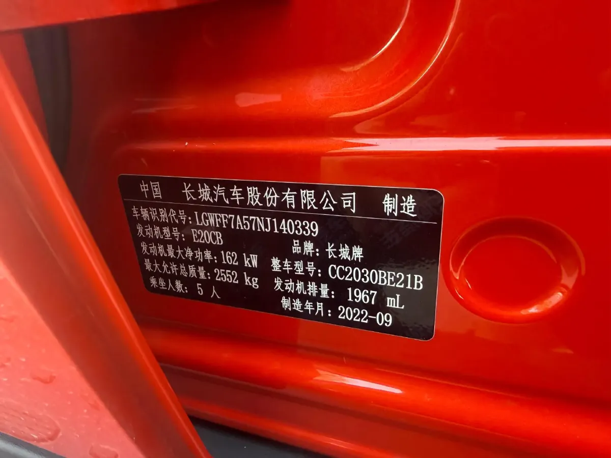 2021 Tank 300 2.0T 227HP L4 8AT,autocango,china used car exporter,china ev exporter,chinese used car exporter,chinese used ev exporter