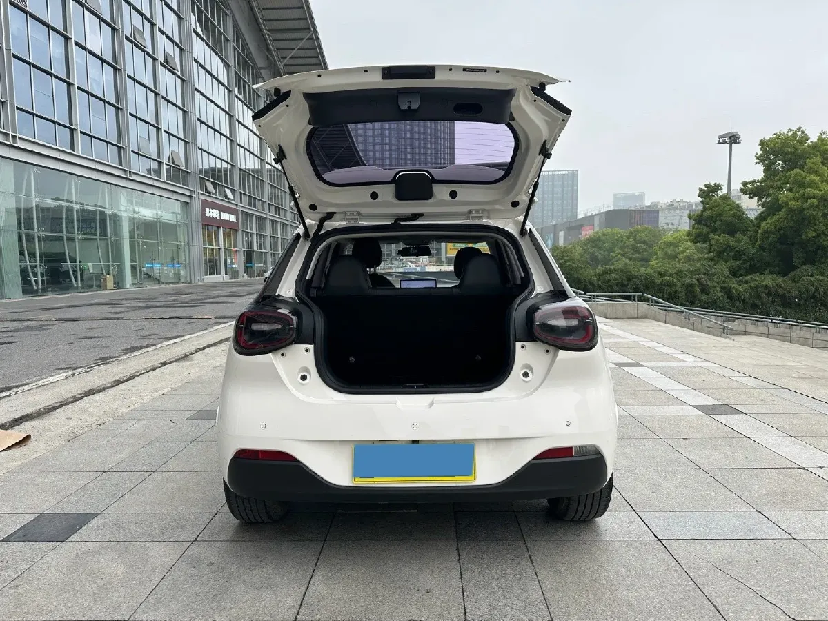 2024 DongFeng eπ 01 BEV 31.45KWH,autocango,china used car exporter,china ev exporter,chinese used car exporter,chinese used ev exporter