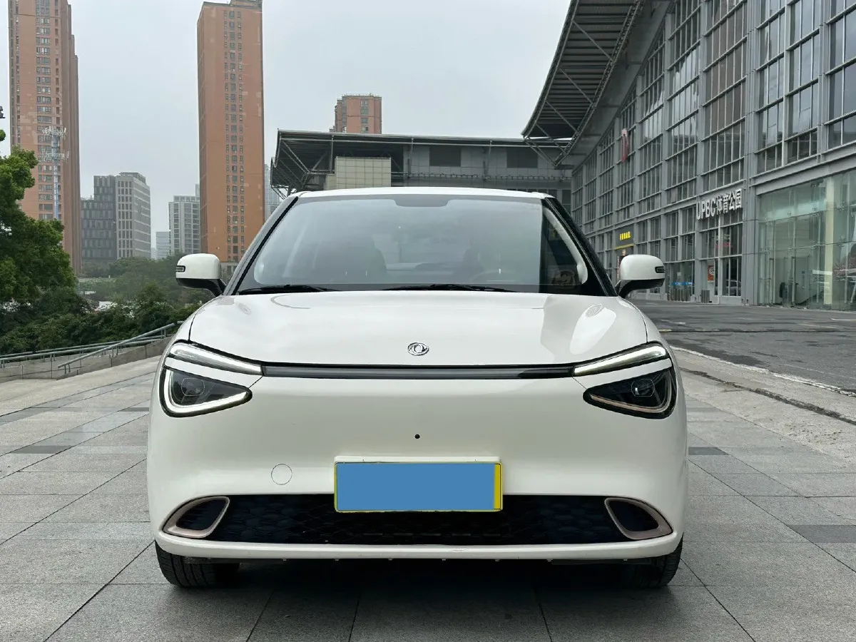 2024 DongFeng eπ 01 BEV 31.45KWH,autocango,china used car exporter,china ev exporter,chinese used car exporter,chinese used ev exporter
