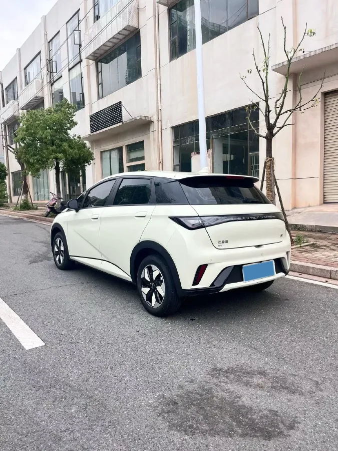 2025 BYD Dolphin BEV 44.928KWH,autocango,china used car exporter,china ev exporter,chinese used car exporter,chinese used ev exporter