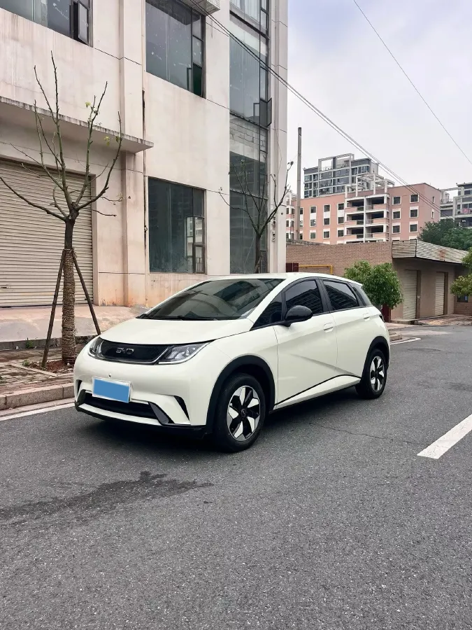 2025 BYD Dolphin BEV 44.928KWH,autocango,china used car exporter,china ev exporter,chinese used car exporter,chinese used ev exporter